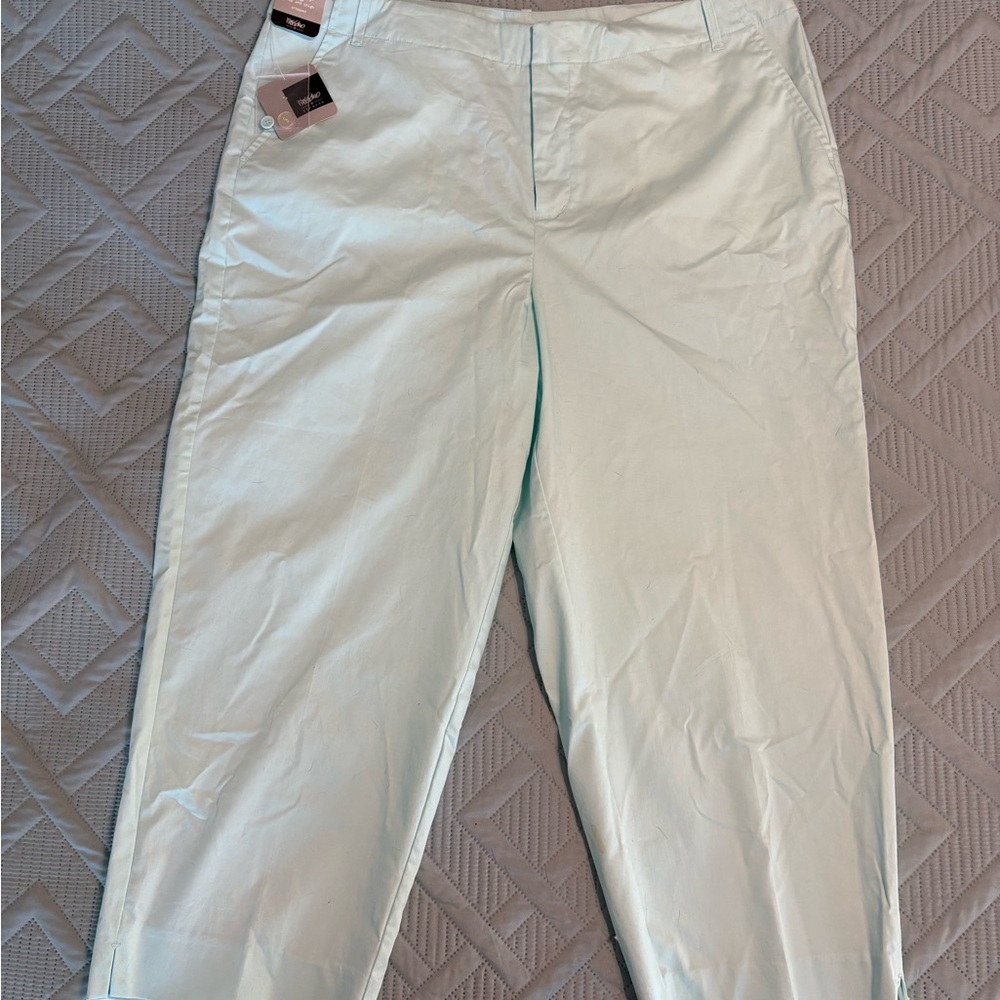 Mossimo Women’s Mint Green Stretch Cropped Pants 18W Mid Rise New With Tags